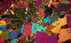 25-30 kb thumbnail JPG image of microphotograph by Doug Craft - links to larger image in right frame