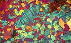 25-30 kb thumbnail JPG image of microphotograph by Doug Craft - links to larger image in right frame