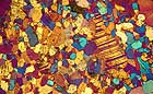 25-30 kb thumbnail JPG image of microphotograph by Doug Craft - links to larger image in right frame