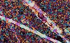 25-30 kb thumbnail JPG image of microphotograph by Doug Craft - links to larger image in right frame