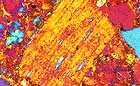 25-30 kb thumbnail JPG image of microphotograph by Doug Craft - links to larger image in right frame