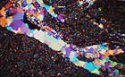 25-30 kb thumbnail JPG image of microphotograph by Doug Craft - links to larger image in right frame