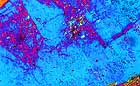 25-30 kb thumbnail JPG image of microphotograph by Doug Craft - links to larger image in right frame