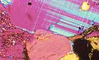 25-30 kb thumbnail JPG image of microphotograph by Doug Craft - links to larger image in right frame