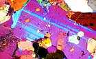 25-30 kb thumbnail JPG image of microphotograph by Doug Craft - links to larger image in right frame