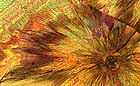 25-30 kb thumbnail JPG image of microphotograph by Doug Craft - links to larger image in right frame
