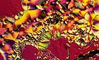 25-30 kb thumbnail JPG image of microphotograph by Doug Craft - links to larger image in right frame