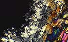 25-30 kb thumbnail JPG image of microphotograph by Doug Craft - links to larger image in right frame