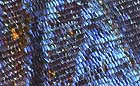 25-30 kb thumbnail JPG image of microphotograph by Doug Craft - links to larger image in right frame