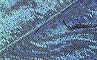 25-30 kb thumbnail JPG image of microphotograph by Doug Craft - links to larger image in right frame