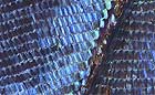 25-30 kb thumbnail JPG image of microphotograph by Doug Craft - links to larger image in right frame