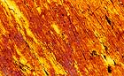 25-30 kb thumbnail JPG image of microphotograph by Doug Craft - links to larger image in right frame