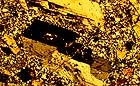 25-30 kb thumbnail JPG image of microphotograph by Doug Craft - links to larger image in right frame