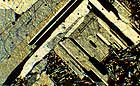 25-30 kb thumbnail JPG image of microphotograph by Doug Craft - links to larger image in right frame