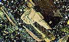 25-30 kb thumbnail JPG image of microphotograph by Doug Craft - links to larger image in right frame