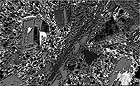 25-30 kb thumbnail JPG image of microphotograph by Doug Craft - links to larger image in right frame