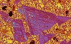 25-30 kb thumbnail JPG image of microphotograph by Doug Craft - links to larger image in right frame