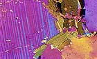 25-30 kb thumbnail JPG image of microphotograph by Doug Craft - links to larger image in right frame