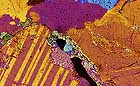 25-30 kb thumbnail JPG image of microphotograph by Doug Craft - links to larger image in right frame