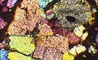 25-30 kb thumbnail JPG image of microphotograph by Doug Craft - links to larger image in right frame