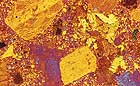 25-30 kb thumbnail JPG image of microphotograph by Doug Craft - links to larger image in right frame