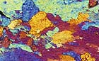 25-30 kb thumbnail JPG image of microphotograph by Doug Craft - links to larger image in right frame
