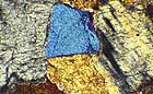 25-30 kb thumbnail JPG image of microphotograph by Doug Craft - links to larger image in right frame