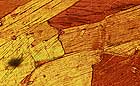 25-30 kb thumbnail JPG image of microphotograph by Doug Craft - links to larger image in right frame