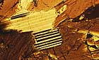 25-30 kb thumbnail JPG image of microphotograph by Doug Craft - links to larger image in right frame