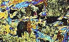 25-30 kb thumbnail JPG image of microphotograph by Doug Craft - links to larger image in right frame