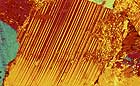 25-30 kb thumbnail JPG image of microphotograph by Doug Craft - links to larger image in right frame