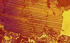 25-30 kb thumbnail JPG image of microphotograph by Doug Craft - links to larger image in right frame