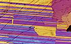 25-30 kb thumbnail JPG image of microphotograph by Doug Craft - links to larger image in right frame