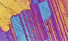 25-30 kb thumbnail JPG image of microphotograph by Doug Craft - links to larger image in right frame