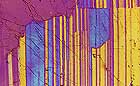 25-30 kb thumbnail JPG image of microphotograph by Doug Craft - links to larger image in right frame