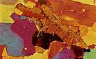 25-30 kb thumbnail JPG image of microphotograph by Doug Craft - links to larger image in right frame