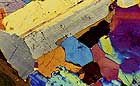 25-30 kb thumbnail JPG image of microphotograph by Doug Craft - links to larger image in right frame