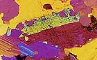 25-30 kb thumbnail JPG image of microphotograph by Doug Craft - links to larger image in right frame