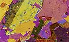 25-30 kb thumbnail JPG image of microphotograph by Doug Craft - links to larger image in right frame