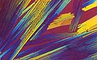 25-30 kb thumbnail JPG image of microphotograph by Doug Craft - links to larger image in right frame