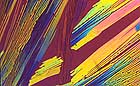 25-30 kb thumbnail JPG image of microphotograph by Doug Craft - links to larger image in right frame