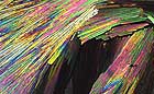 25-30 kb thumbnail JPG image of microphotograph by Doug Craft - links to larger image in right frame