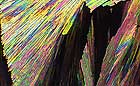 25-30 kb thumbnail JPG image of microphotograph by Doug Craft - links to larger image in right frame