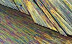 25-30 kb thumbnail JPG image of microphotograph by Doug Craft - links to larger image in right frame