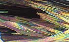 25-30 kb thumbnail JPG image of microphotograph by Doug Craft - links to larger image in right frame