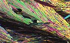 25-30 kb thumbnail JPG image of microphotograph by Doug Craft - links to larger image in right frame