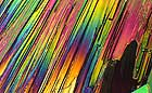 25-30 kb thumbnail JPG image of microphotograph by Doug Craft - links to larger image in right frame