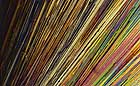25-30 kb thumbnail JPG image of microphotograph by Doug Craft - links to larger image in right frame