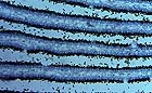 25-30 kb thumbnail JPG image of microphotograph by Doug Craft - links to larger image in right frame