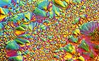 25-30 kb thumbnail JPG image of microphotograph by Doug Craft - links to larger image in right frame